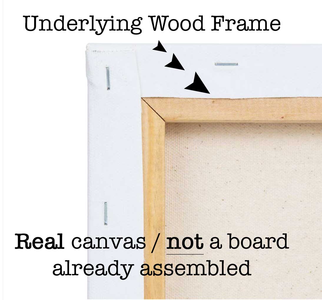 pre-stretched canvas paint by number