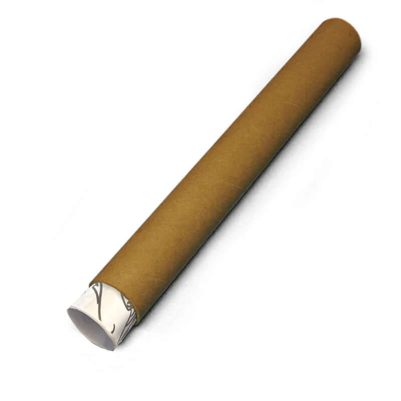 6 foot x 2.5 foot kids coloring poster delivered in a tube for a poster with no ridges.