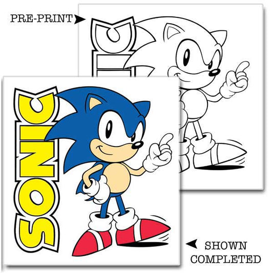 Kids Sonic Hedgehog Painting Kit 