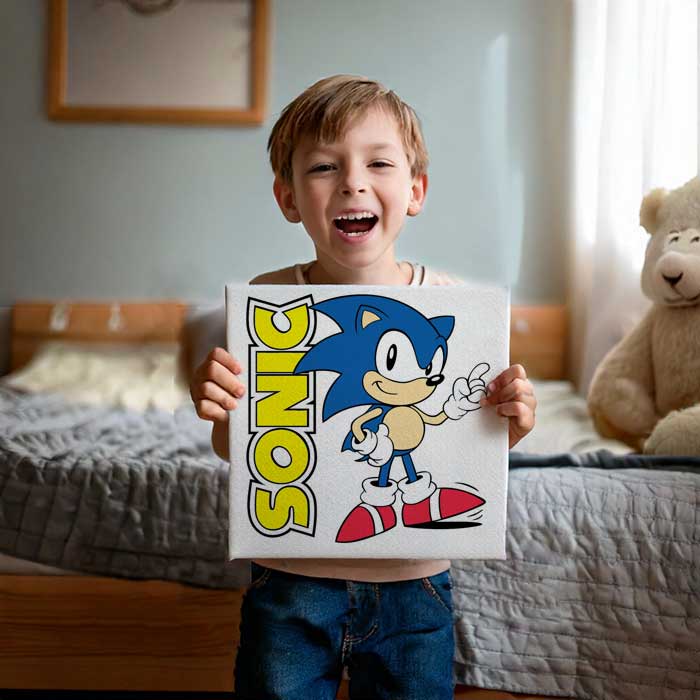 Children Sonic Hedgehog Paint Set 
