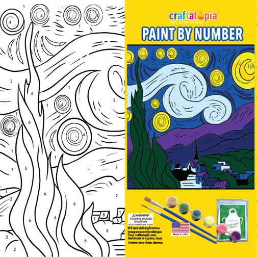 starry night paint number kit