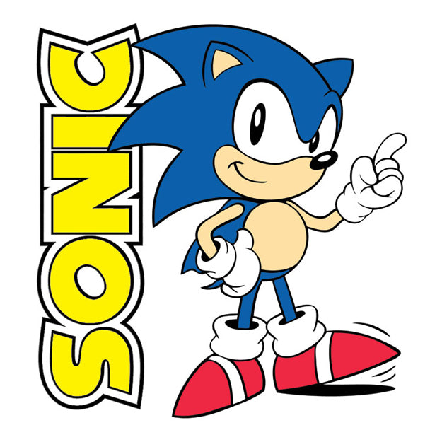 DIY Kids Painting Kit – Create Your Own Sonic Canvas (Ages 3+)